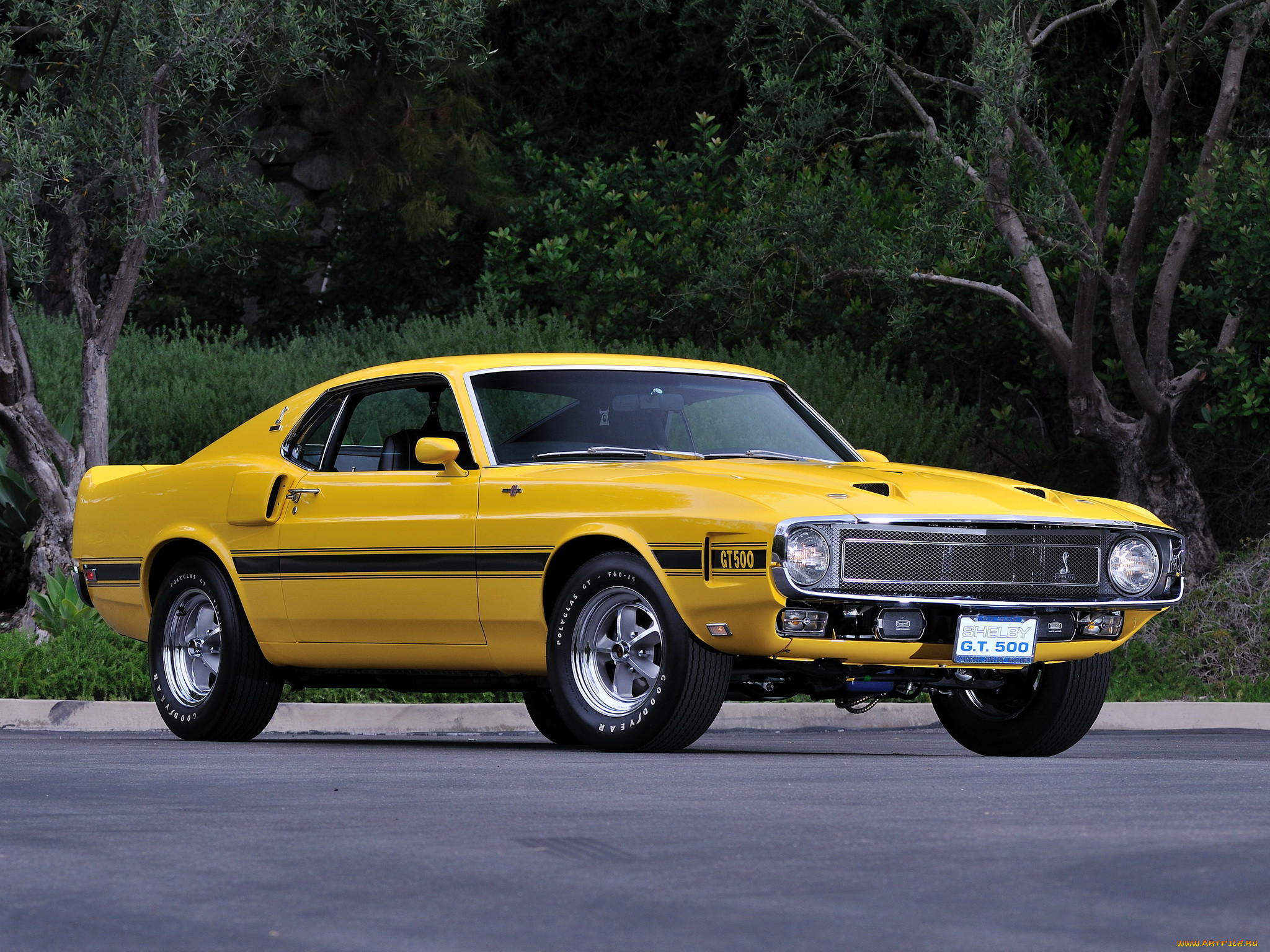 , mustang, , 1969, gt500, shelby